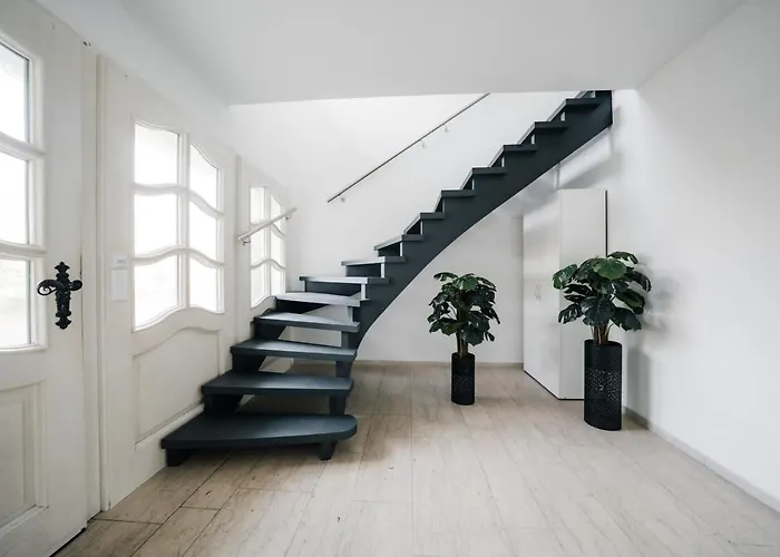 Daire Randhome Horn *